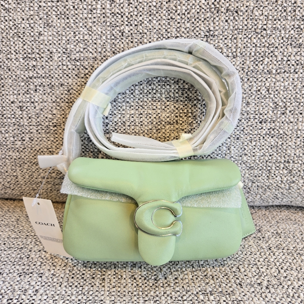 Coach Pale Pistacio Pillow Tabby